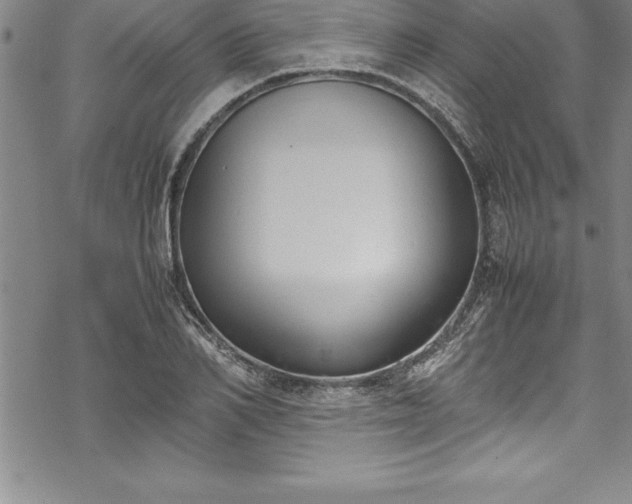 X0000069390982200605150939