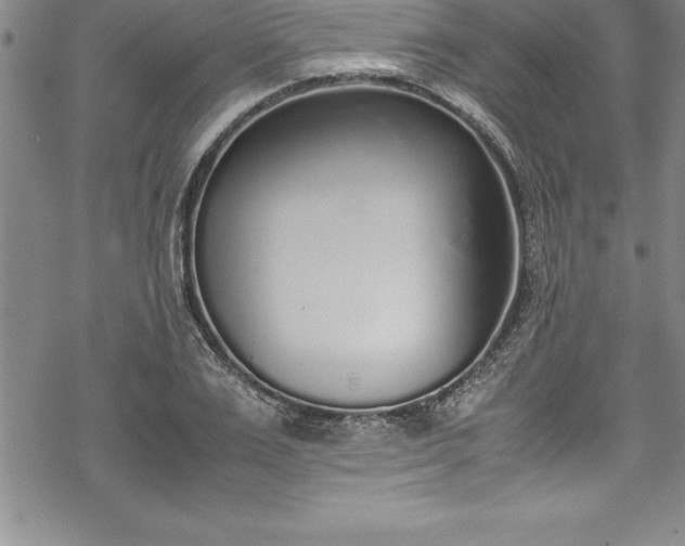 X0000069390983200605150939