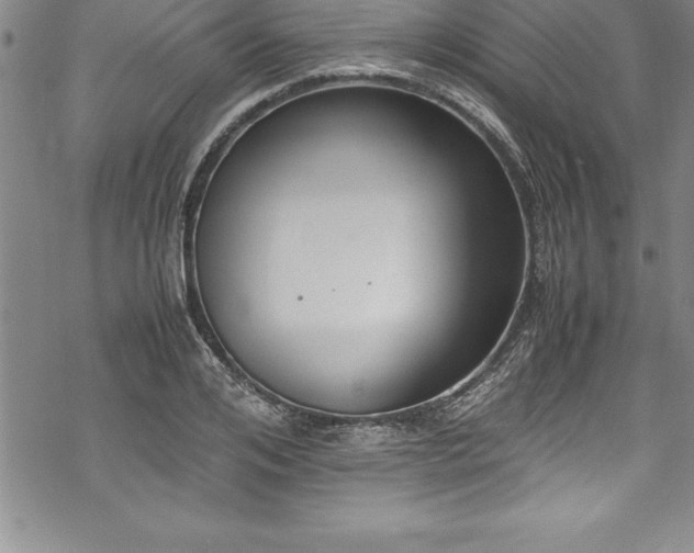 X0000069390984200605150939