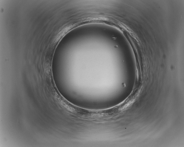 X0000069390985200605150939