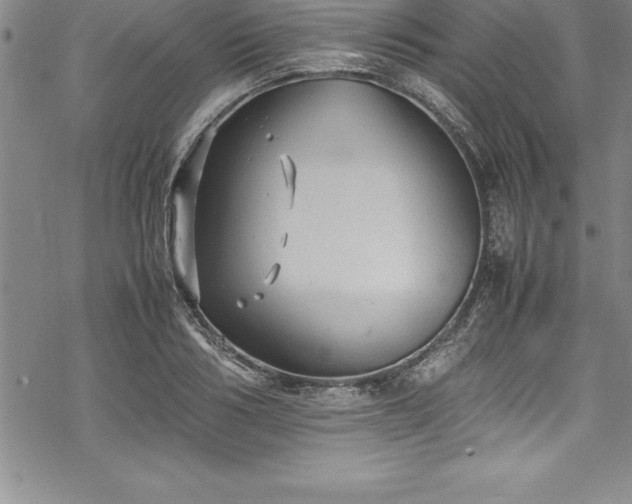 X0000069390986200605150939