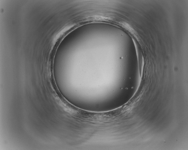 X0000069390987200605150939