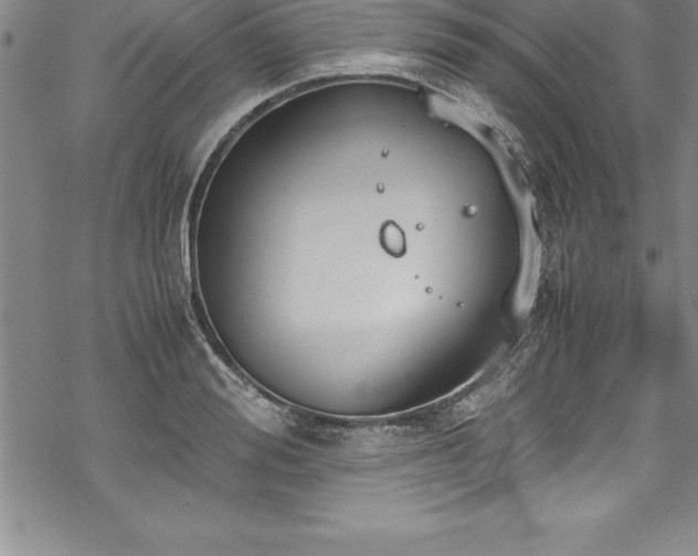 X0000069390988200605150939