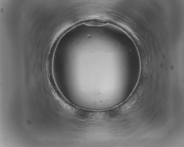 X0000069390991200605150938