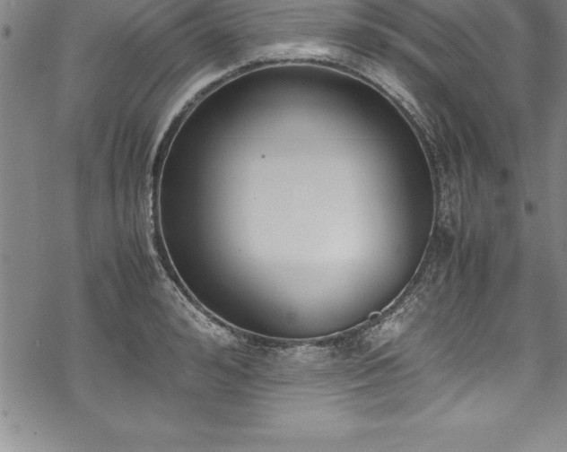 X0000069390992200605150938