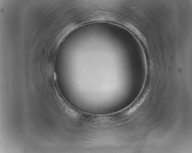 X0000069390993200605150938