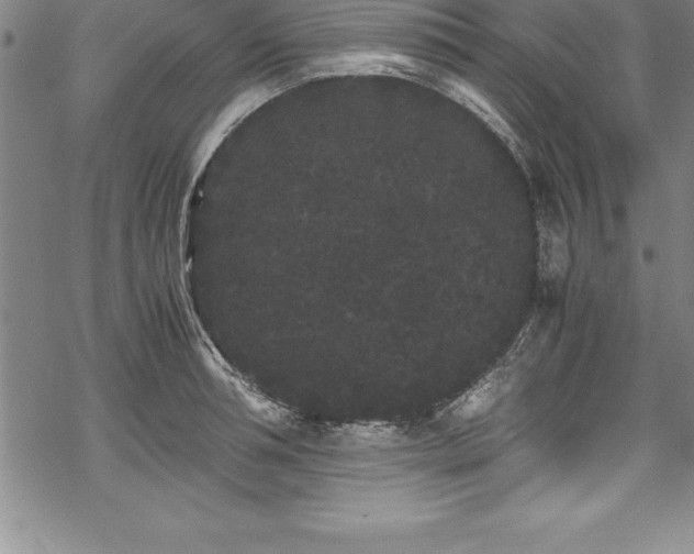 X0000069390994200605150938