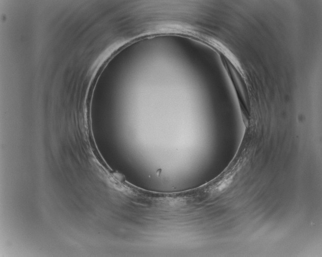 X0000069390996200605150938