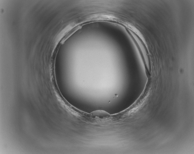 X0000069390997200605150938