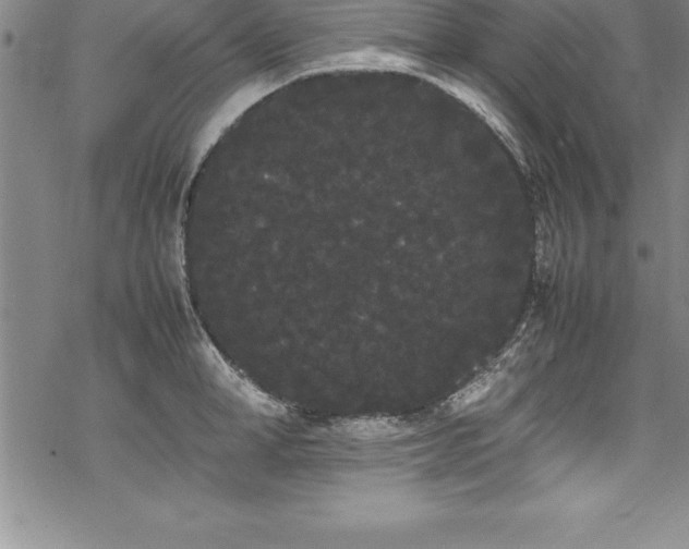 X0000069390998200605150938