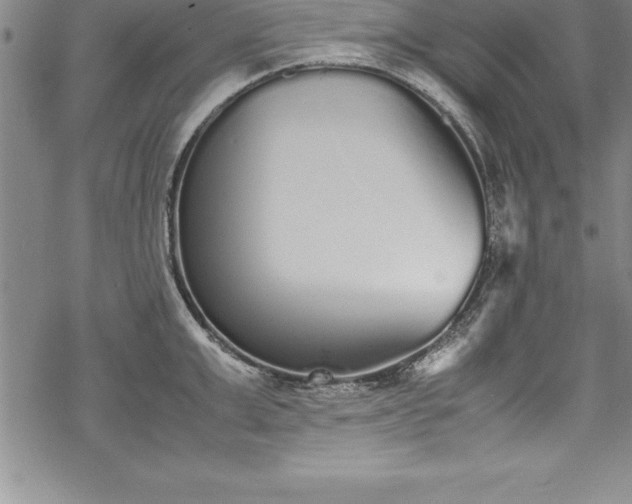 X0000069390999200605150938