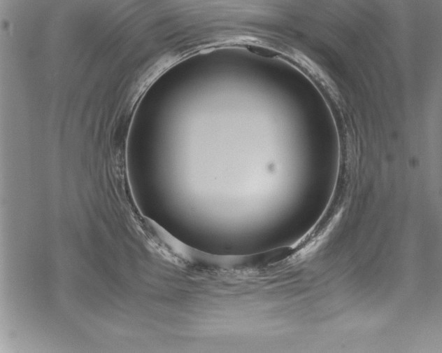 X0000069391001200605150938