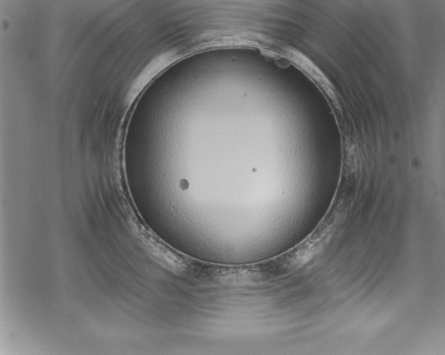 X0000069391002200605150938