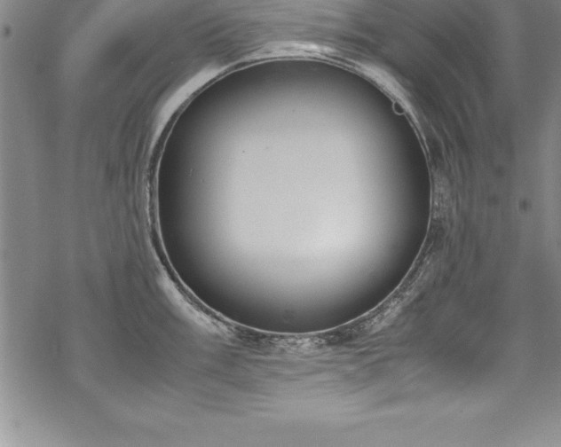 X0000069391003200605150938