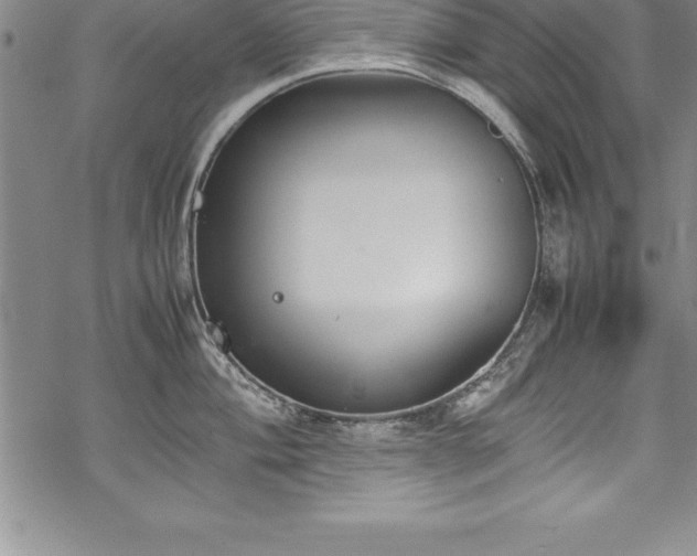 X0000069391004200605150938