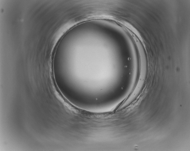 X0000069391005200605150938