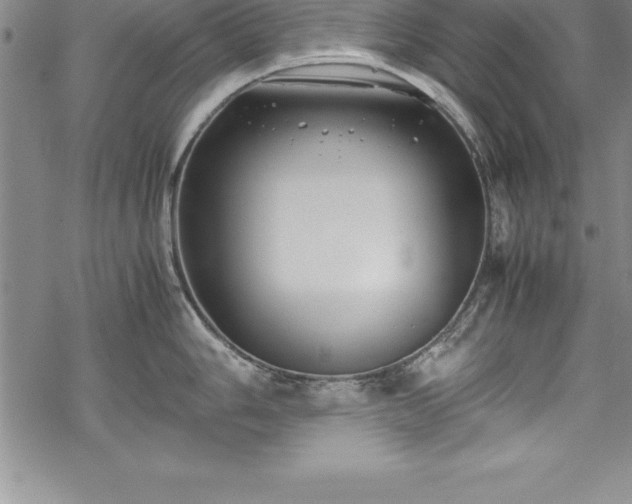 X0000069391006200605150938