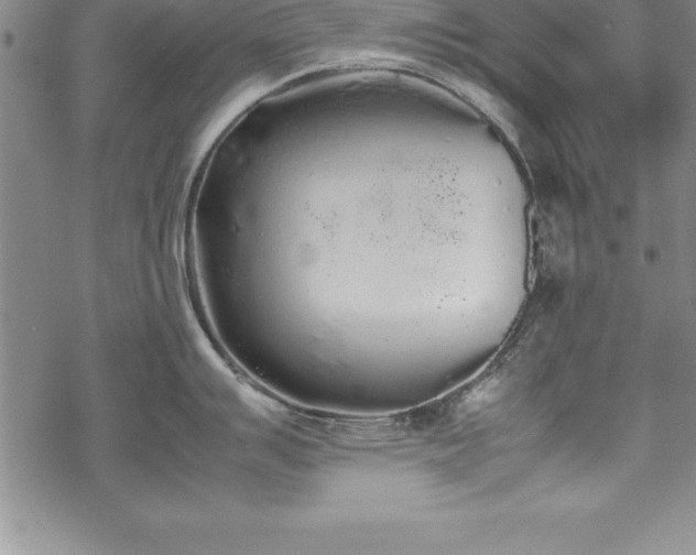 X0000069391007200605150938