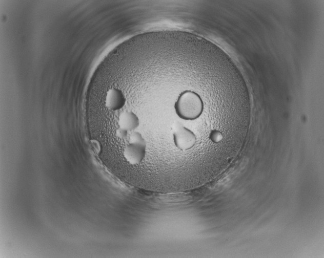 X0000069391008200605150938