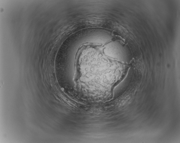 X0000069391009200605150937