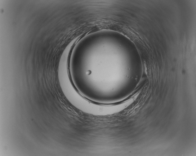 X0000069391010200605150937