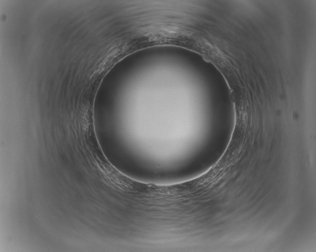 X0000069391012200605150937