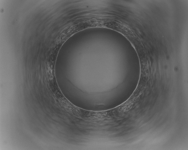 X0000069391013200605150937