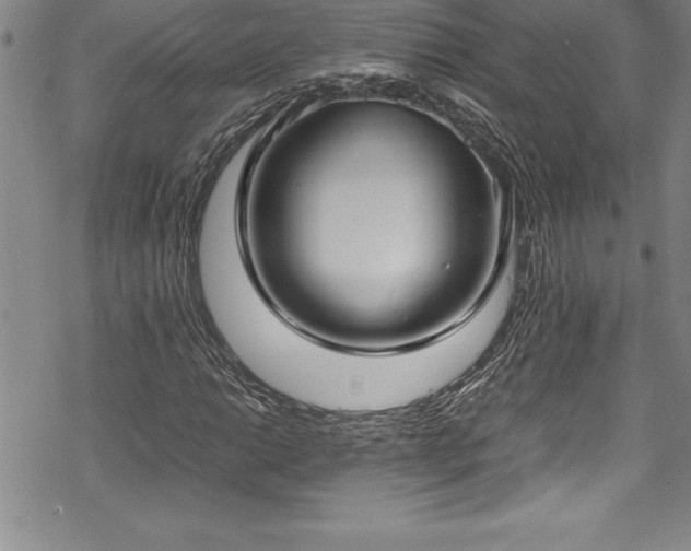 X0000069391014200605150937