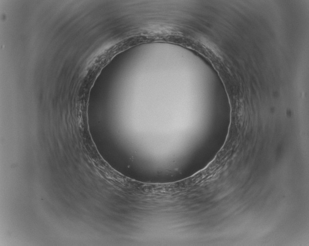 X0000069391016200605150937