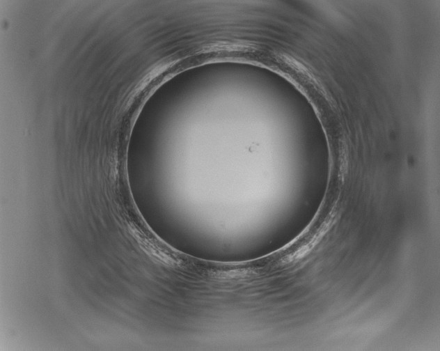 X0000069391017200605150937