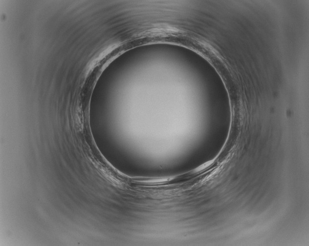 X0000069391018200605150937