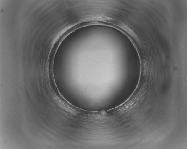 X0000069391020200605150937