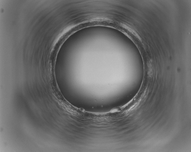 X0000069391021200605150938