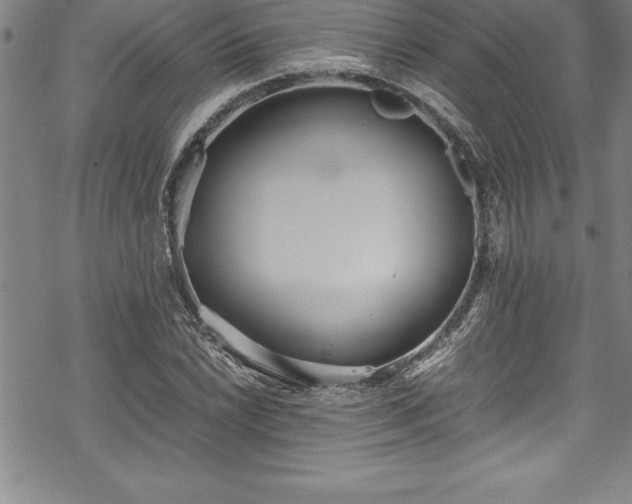 X0000069391022200605150938