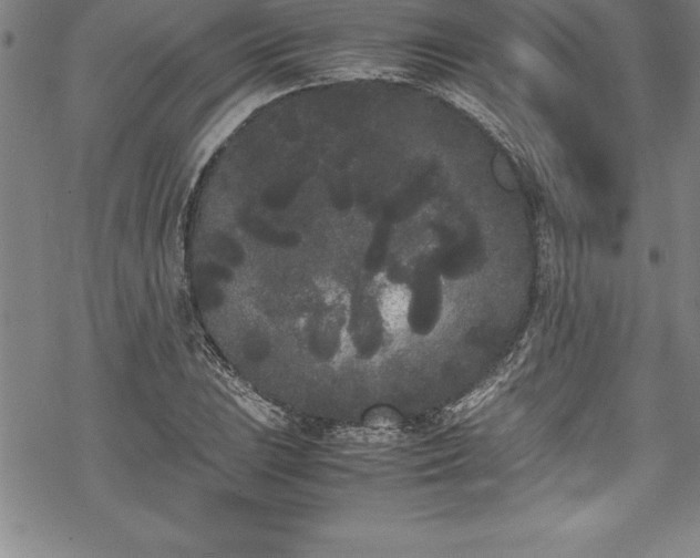 X0000069391023200605150938