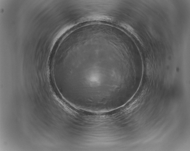 X0000069391024200605150938