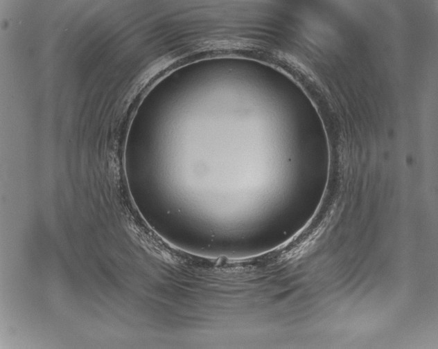 X0000069391025200605150938