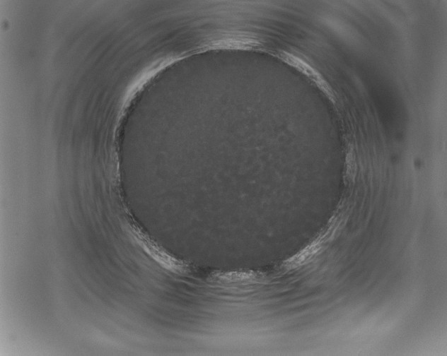 X0000069391027200605150938