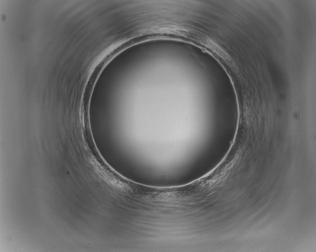 X0000069391028200605150938