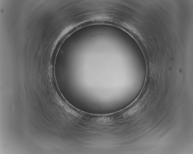 X0000069391029200605150938