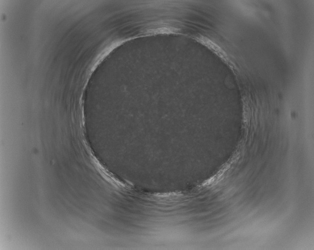 X0000069391031200605150938