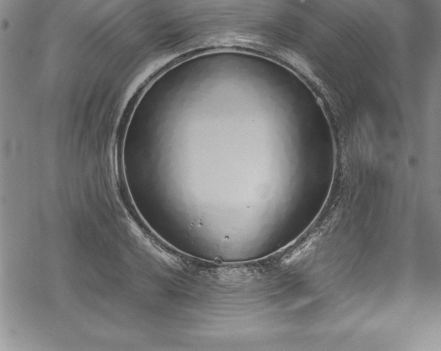 X0000069391032200605150938