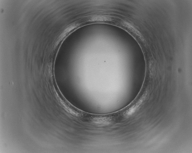 X0000069391033200605150938