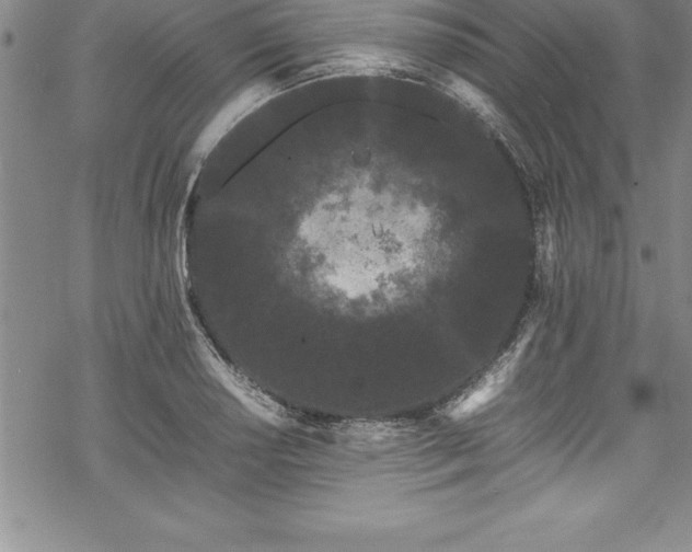 X0000069391034200605150938