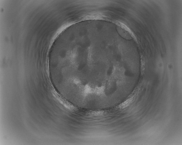 X0000069391035200605150938