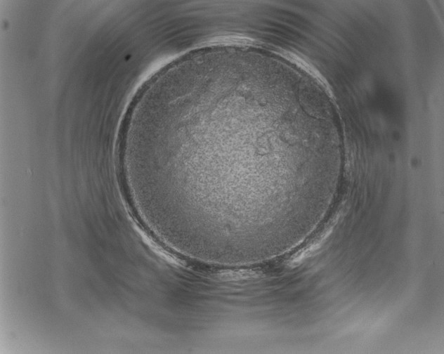 X0000069391037200605150938