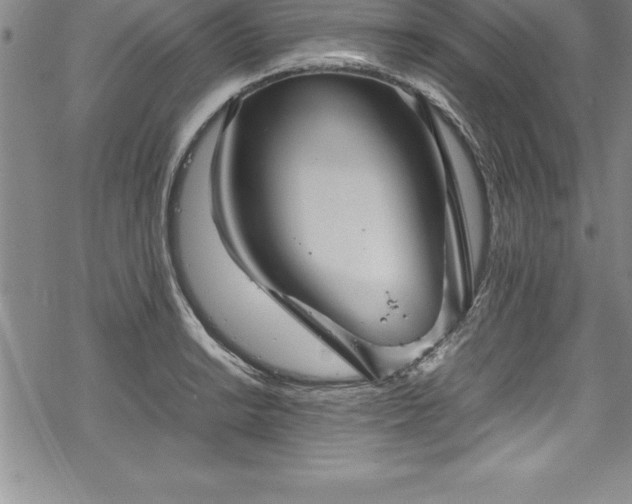 X0000069391038200605150938