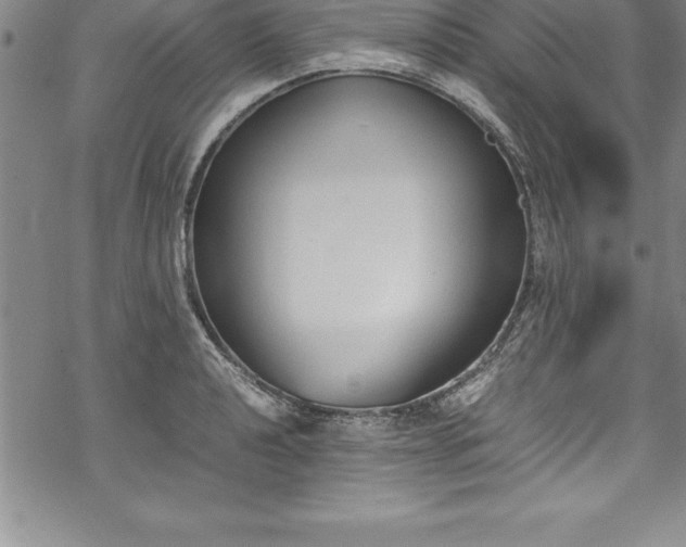 X0000069391040200605150938