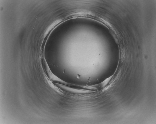 X0000069391042200605150938