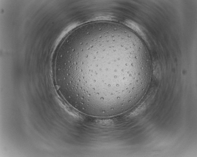 X0000069391043200605150938